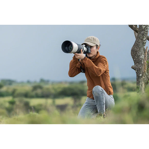 Sony FE 100-400mm f/4.5 GM OSS 14
