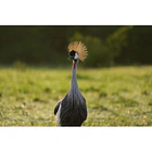 Sony FE 100-400mm f/4.5 GM OSS 18