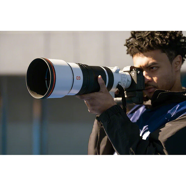 Sony FE 100-400mm f/4.5 GM OSS 21