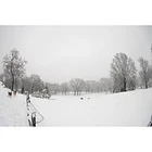 Sigma 15mm f/1.4 Fisheye DG DN Art  7