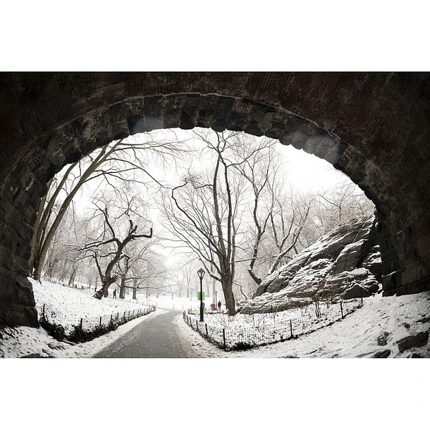Sigma 15mm f/1.4 Fisheye DG DN Art  8