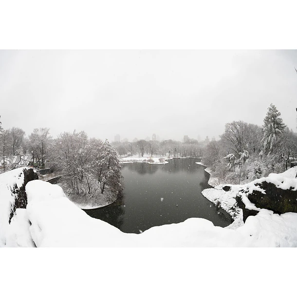 Sigma 15mm f/1.4 Fisheye DG DN Art  9