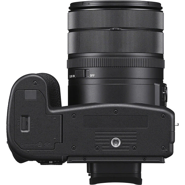 Sony RX10 V 6