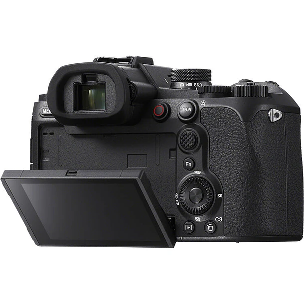 Sony RX10 V 14