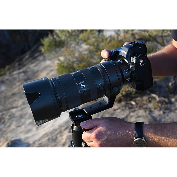 NIKKOR Z 70-200mm F 2.8 VR S II 12