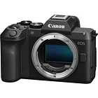 Canon EOS R8 Mark II (Body) 7