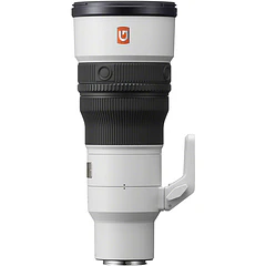 Sony FE 600mm f/6.3 GM OSS (Sony E)