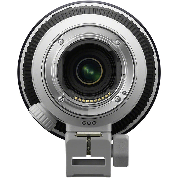 Sony FE 600mm f/6.3 GM OSS (Sony E) 4
