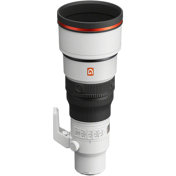 Sony FE 600mm f/6.3 GM OSS (Sony E) 12