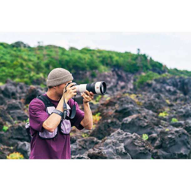 Sony FE 600mm f/6.3 GM OSS (Sony E) 17