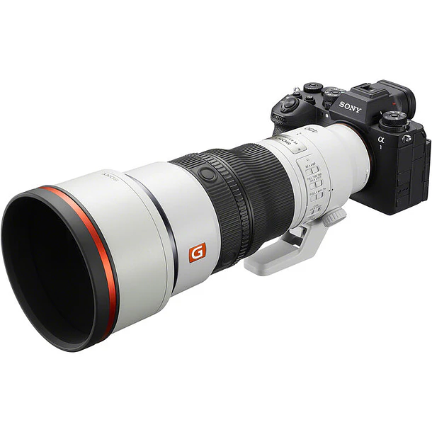 Sony FE 400mm f/4.5 GM OSS (Sony E) 10