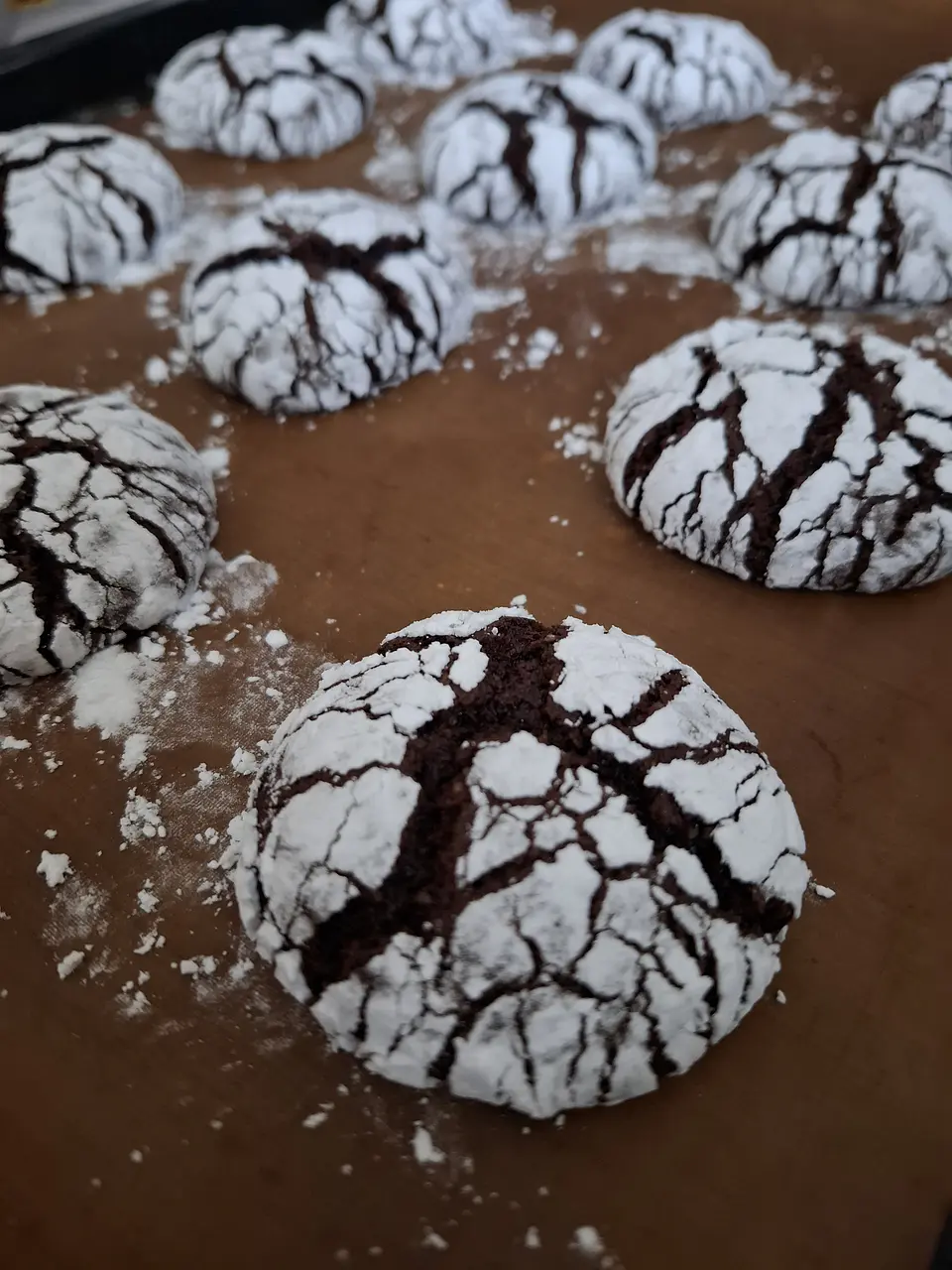 Galletas Craqueladas cacao (330 gr aprox) 1