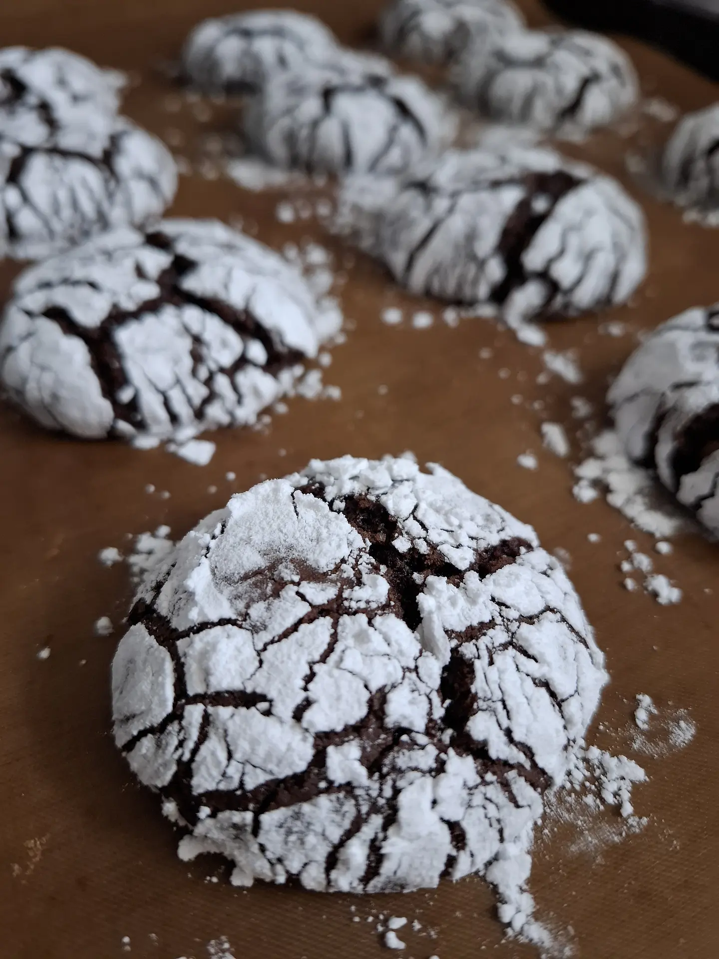 Galletas Craqueladas cacao (330 gr aprox) 2
