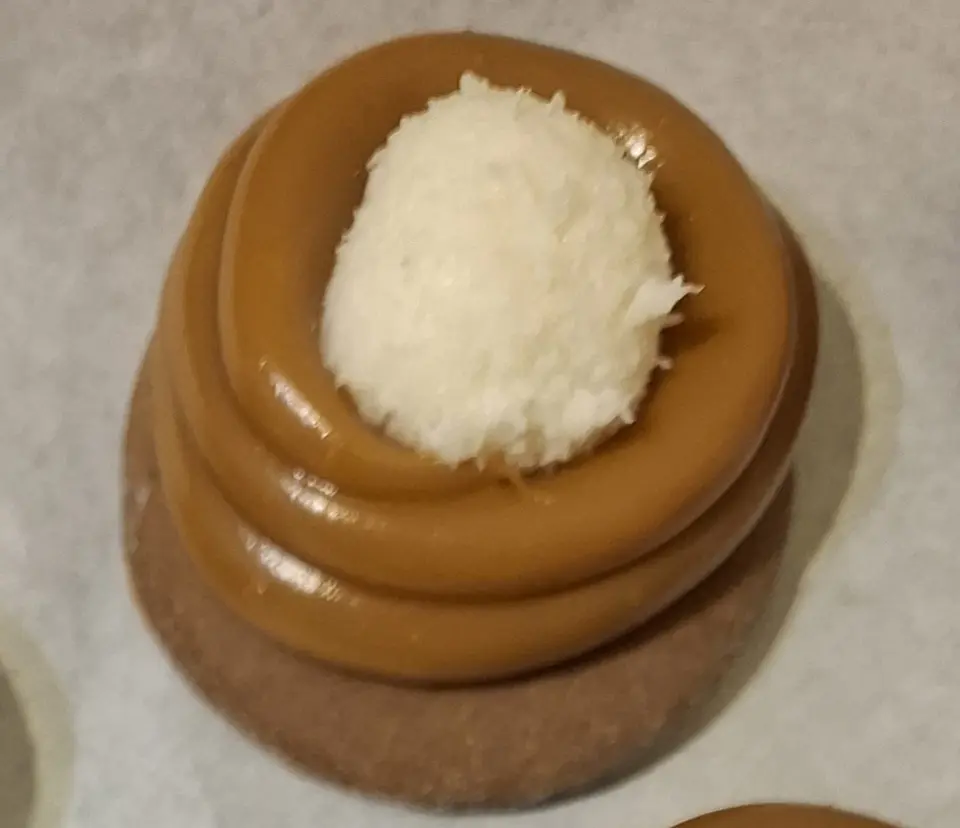 Alfajor Mendocino Manjar Prestigio Casero  2