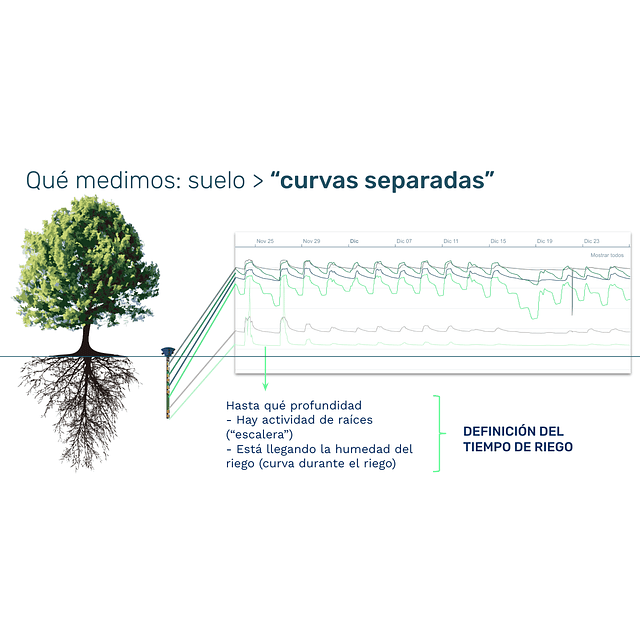 Sensor de Humedad de Suelo