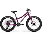 Bicicleta MATTS J. 20+ 2