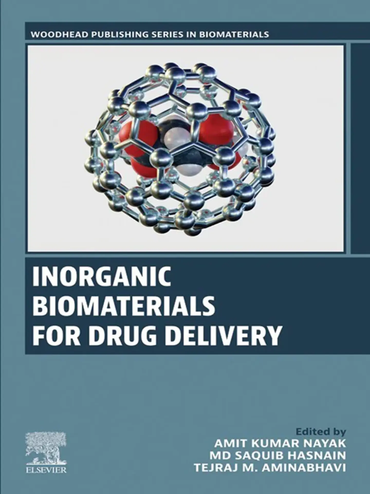Inorganic Biomaterials for Drug Delivery 1