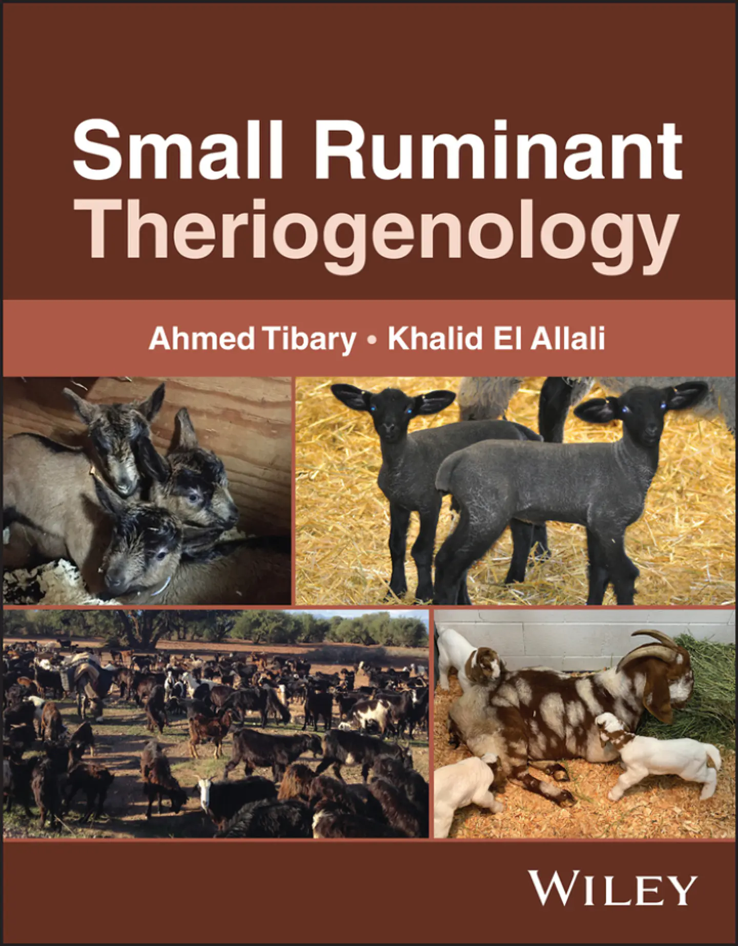 Small Ruminant Theriogenology 1