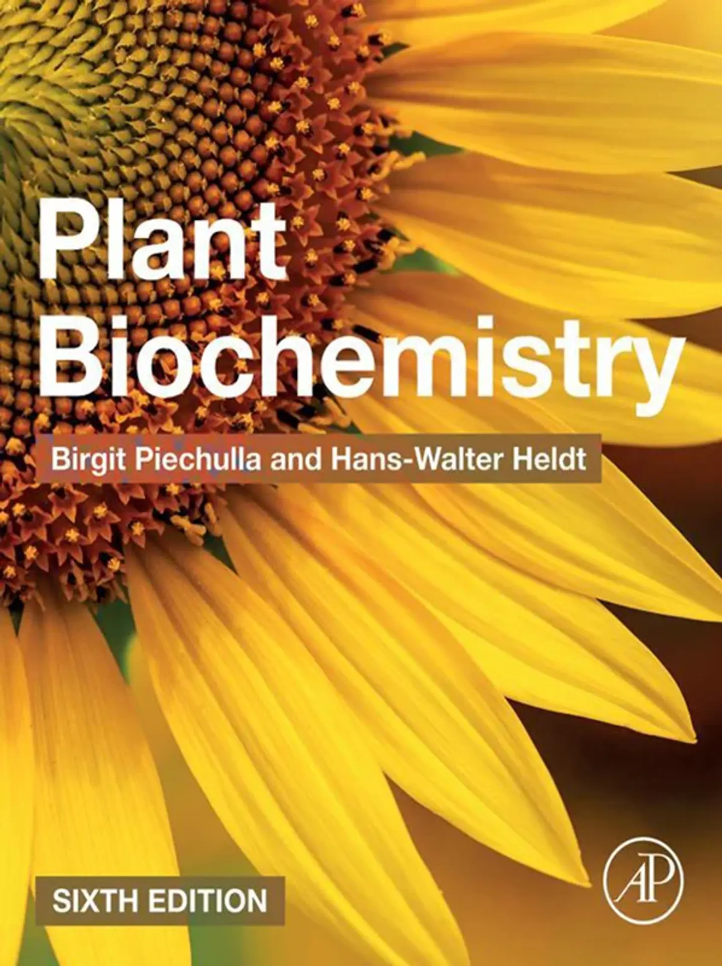 Plant Biochemistry 6th Edition 1