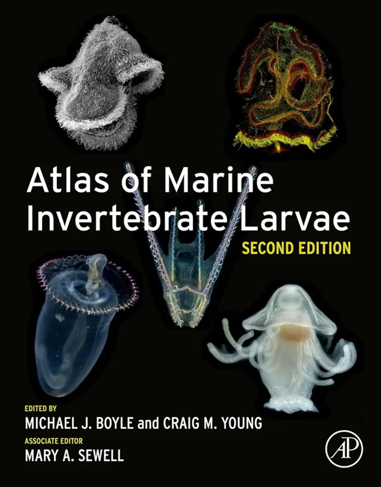 Atlas of Marine Invertebrate Larvae 2nd Edition 1