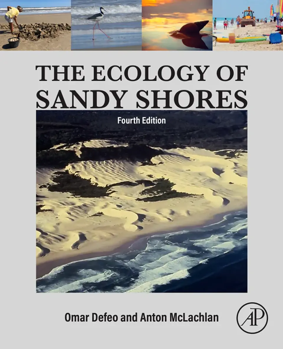 The Ecology of Sandy Shores 4th Edition 1