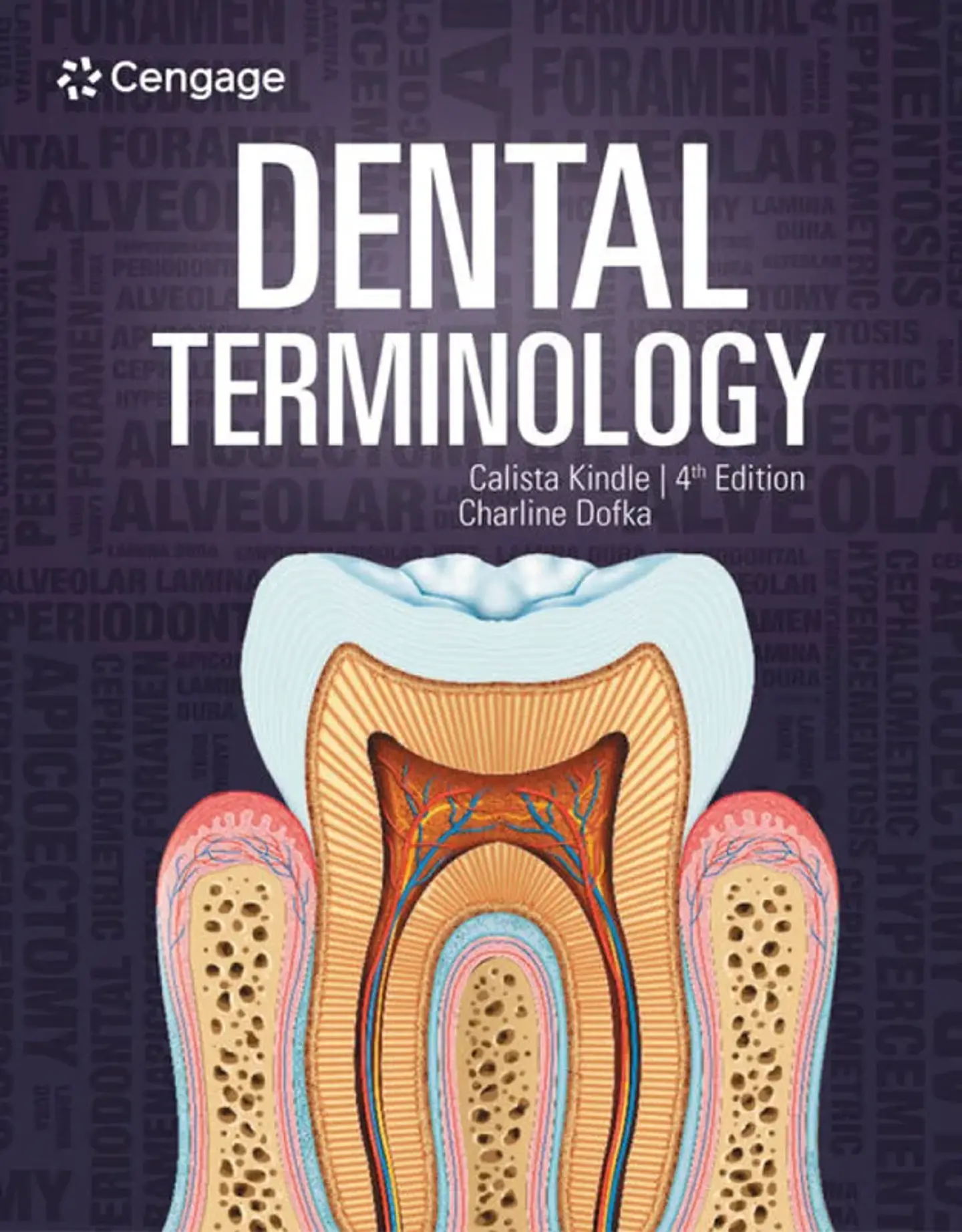 Dental Terminology 4th Edition 1