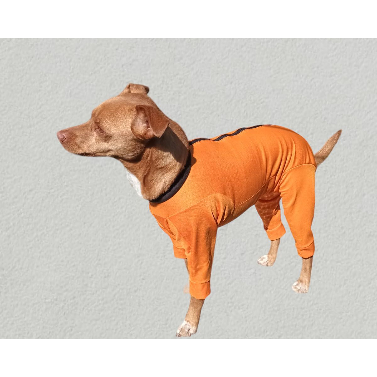 Body Cobre Completo x 4 Patas