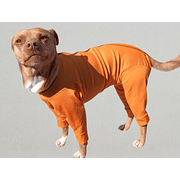 Body Cobre Completo x 4 Patas miniatura 2