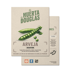 Arveja Quantum