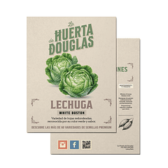 Lechuga White Boston