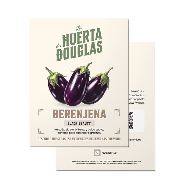 Berenjena Black Beauty