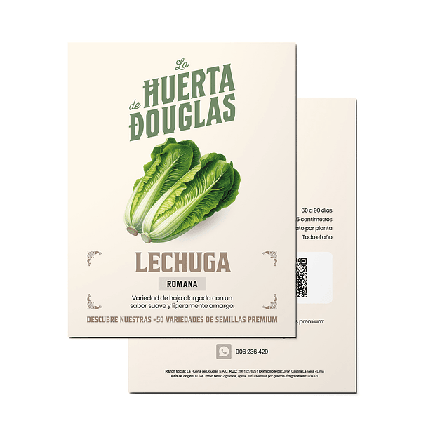 Lechuga Romana