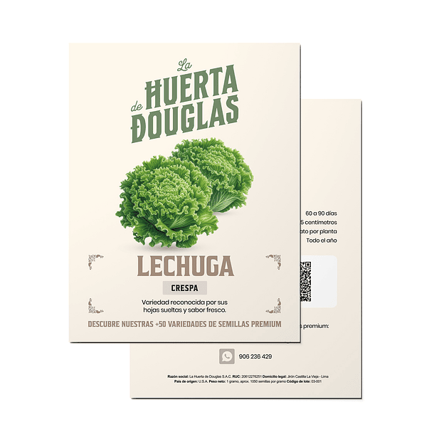 Lechuga Crespa