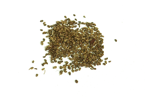 Semillas Apio de hoja