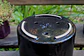 Maceta Cerámica 19 cm Negro brillos - Miniatura 2