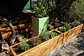 Restauración Jardín La Reina - Miniatura 5