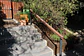 Restauración Jardín La Reina - Miniatura 6