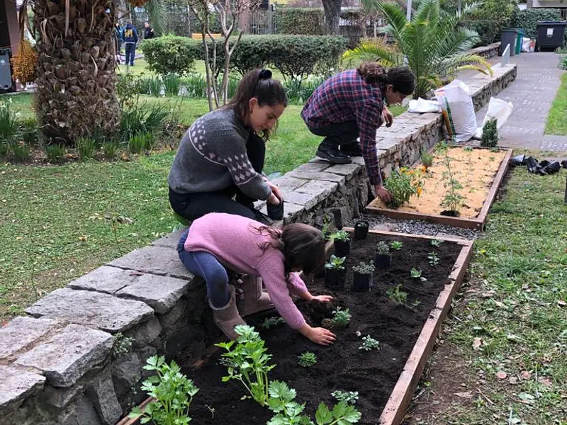 Aprende a cuidar tu huerta/jardín