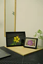 Cuadro Oxalis - Miniatura 1