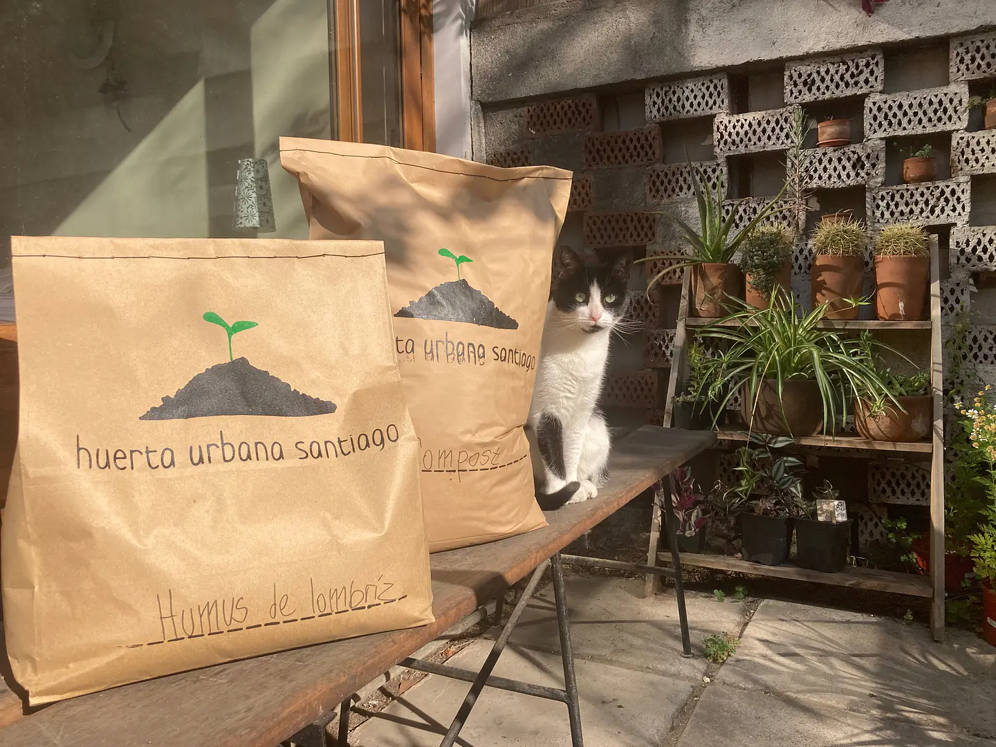 Sustratos - Compost  Vermicompost