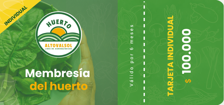 MEMBRESIA TARJETA INDIVIDUAL