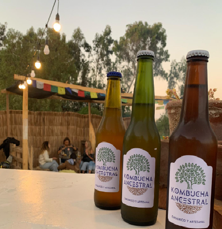kombucha ancestral