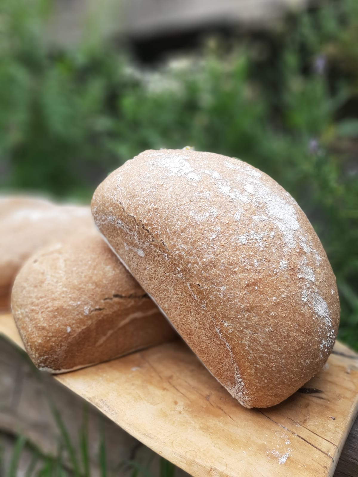 Pan de Masa Madre
