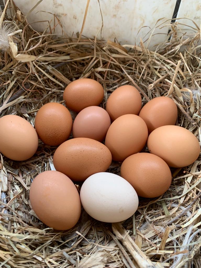 Huevos del huerto 30 unidades