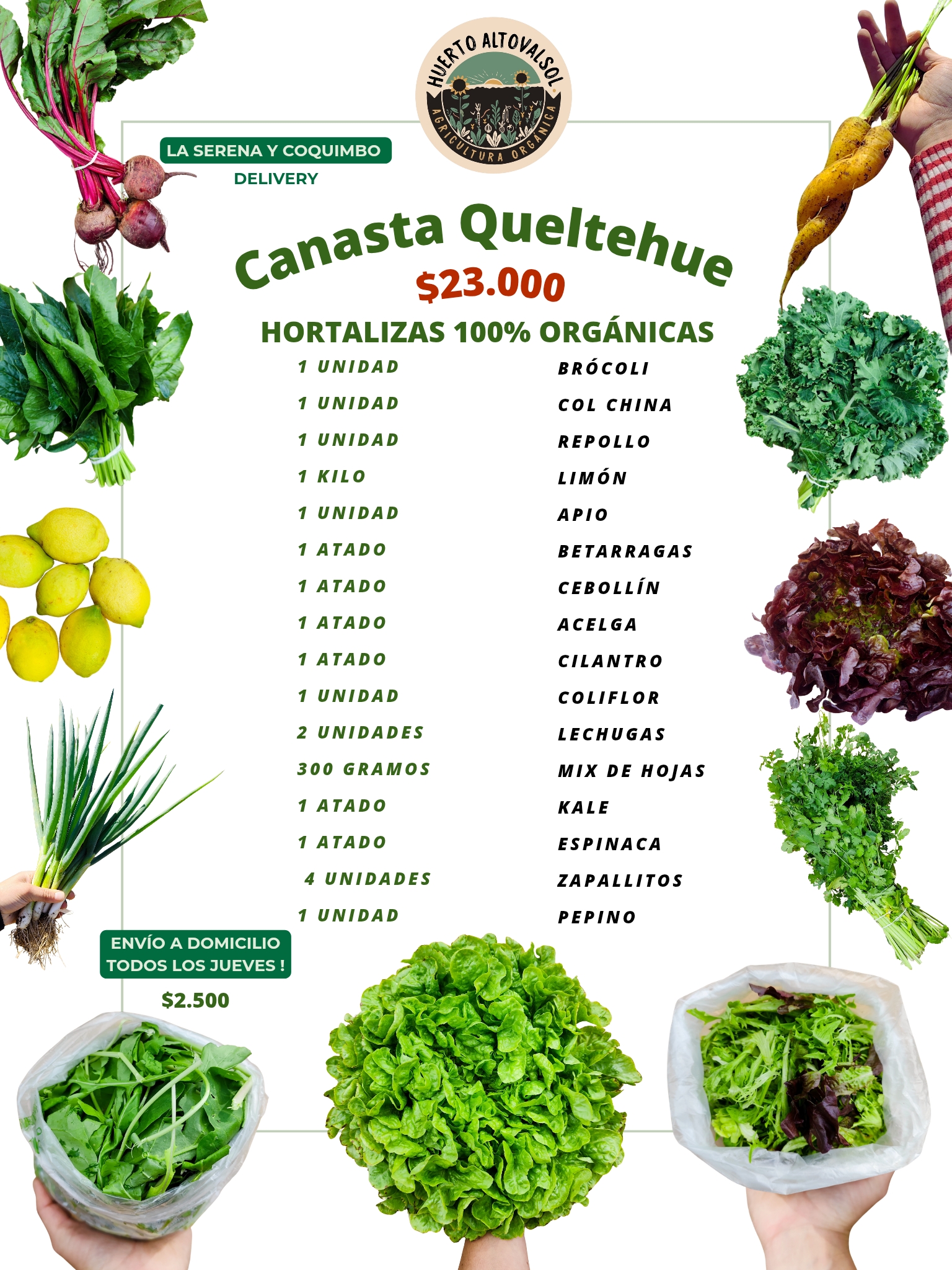 Que trae la canasta queltehue esta semana?