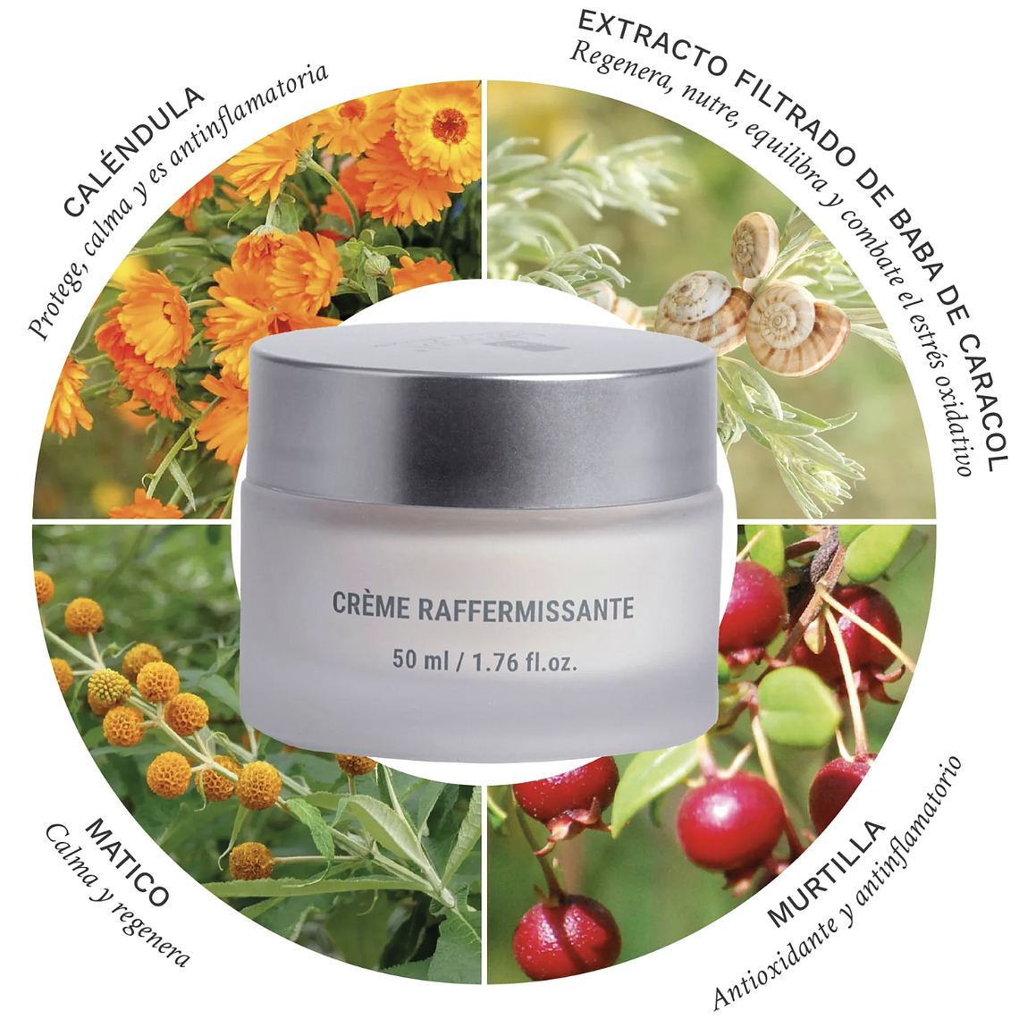 Crema Reafirmante 50ml - Caracol 2