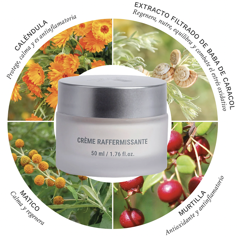 Crema Reafirmante 50ml - Caracol 2