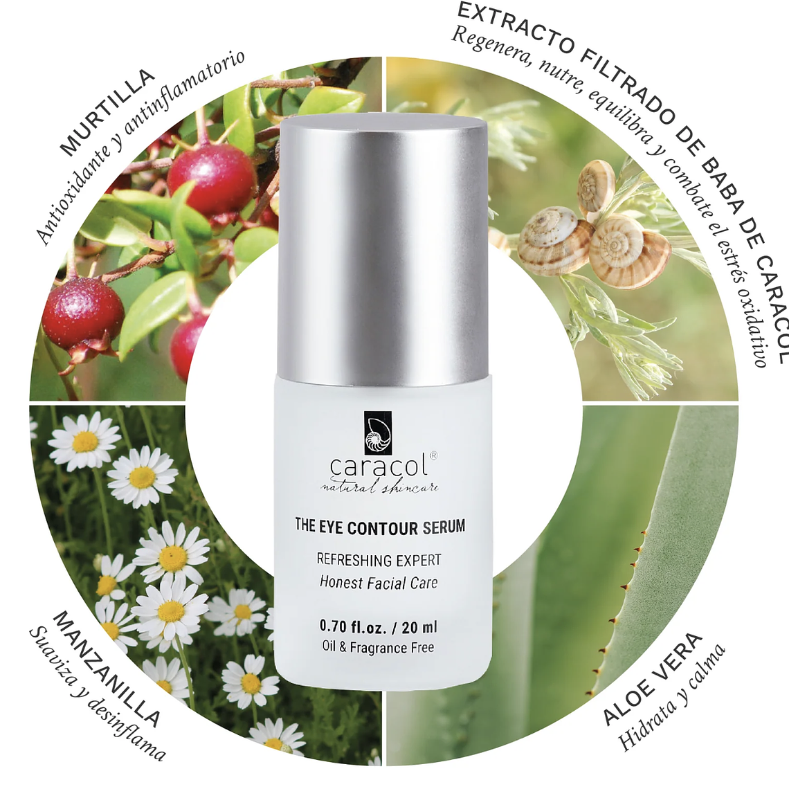 Serum Contorno de Ojos 20ml - Caracol  2