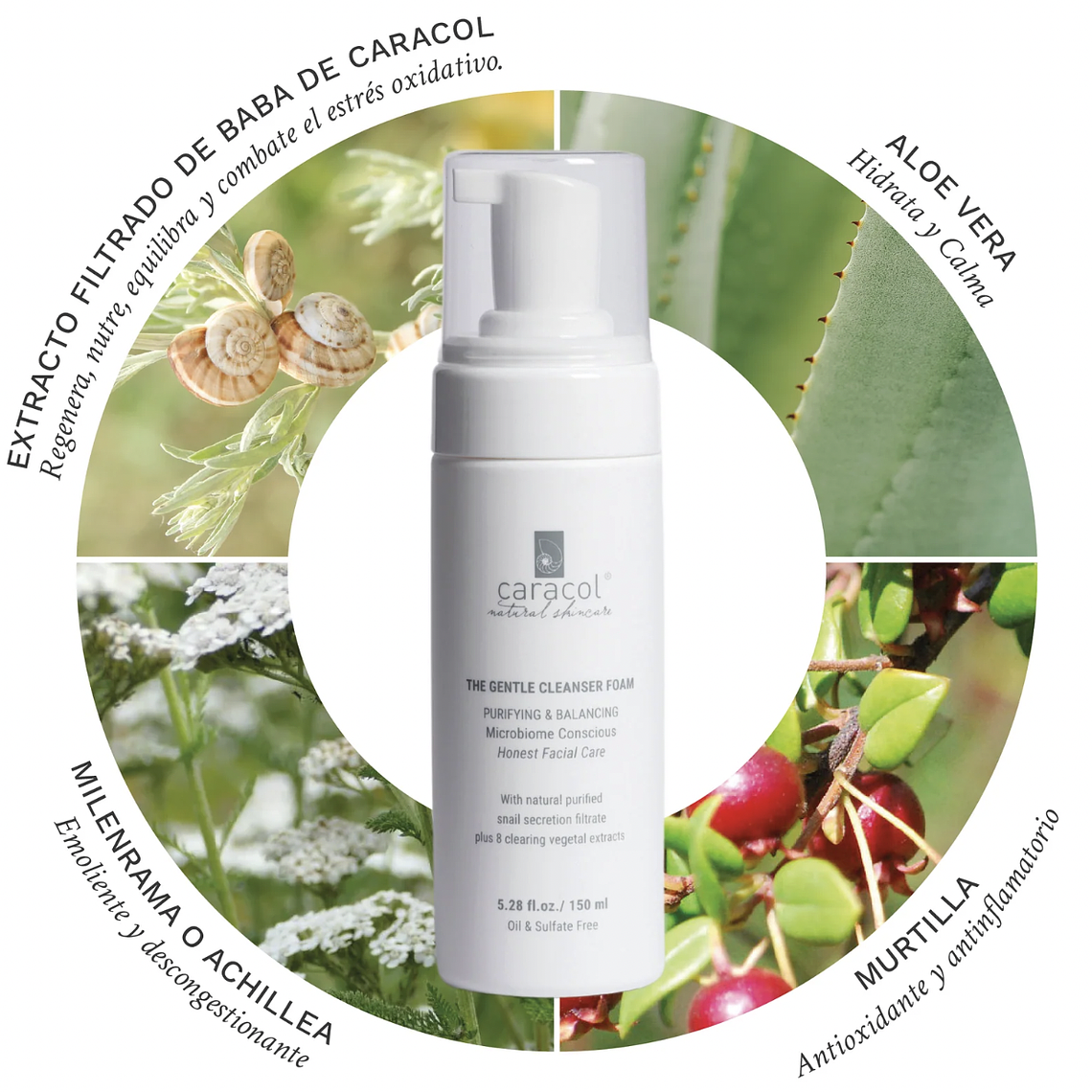 Mousse Suave de Limpieza 150ml - Caracol  2