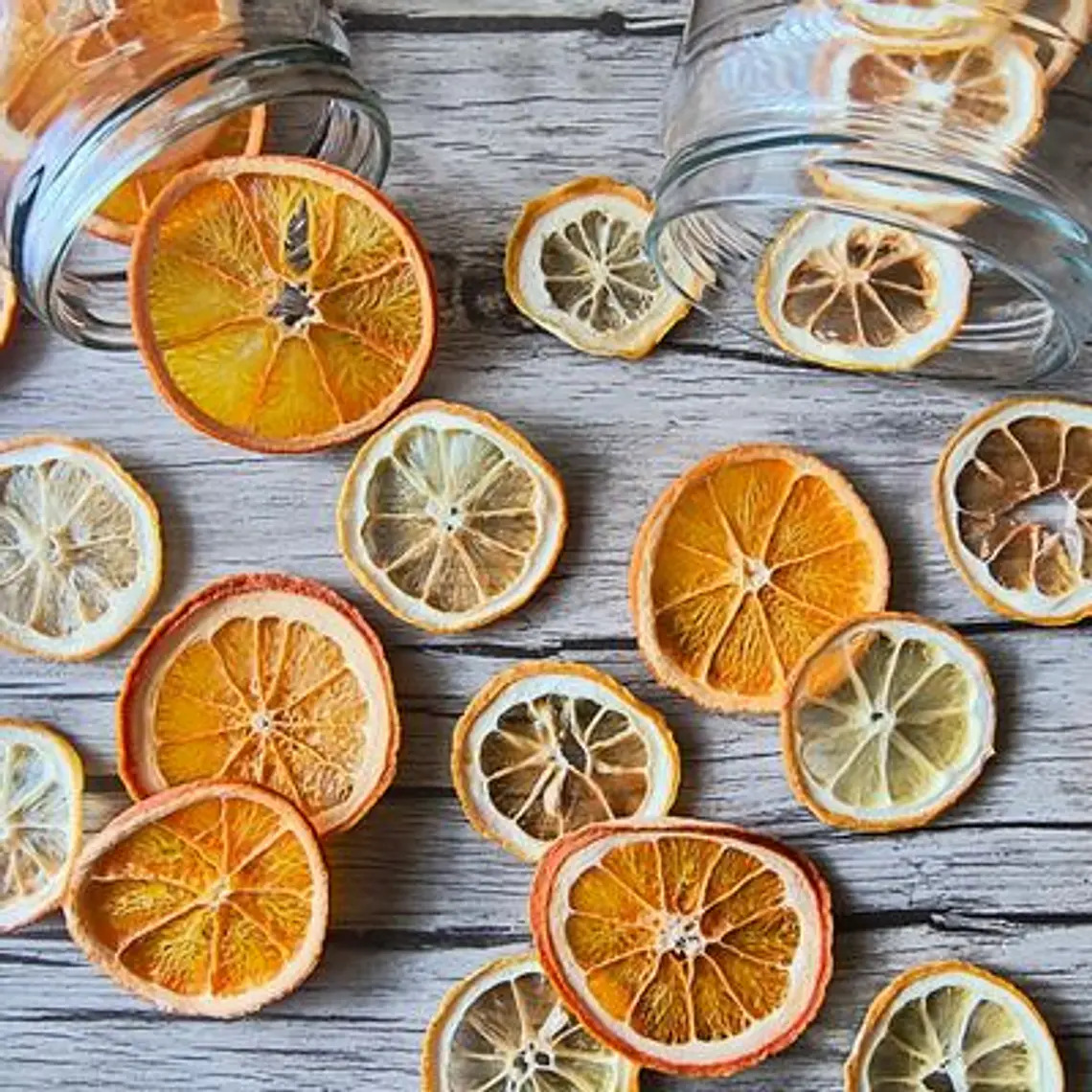 Slides cítricos deshidratados 1